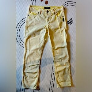 Size 27 Silver Suki Capris EUC